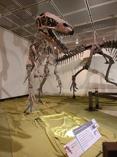 20220814_143450.jpg