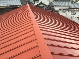 2017-03-14 09.53.27.jpg