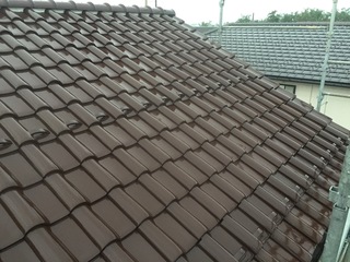 2017-09-06 17.39.56.jpg