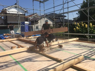 2017-09-26 13.48.59.jpg