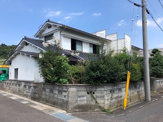 2018-08-29 13.17.51.jpg