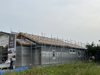 IMG_1465.JPG