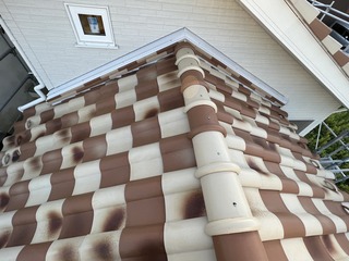 IMG_2430.jpg