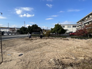 IMG_4518.JPG