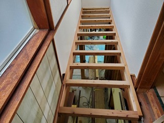 IMG_5135.JPG