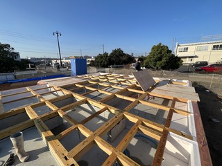 IMG_5467.JPG