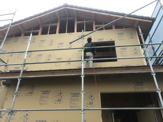 IMG_6373.JPG
