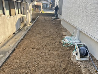 IMG_6911.JPG